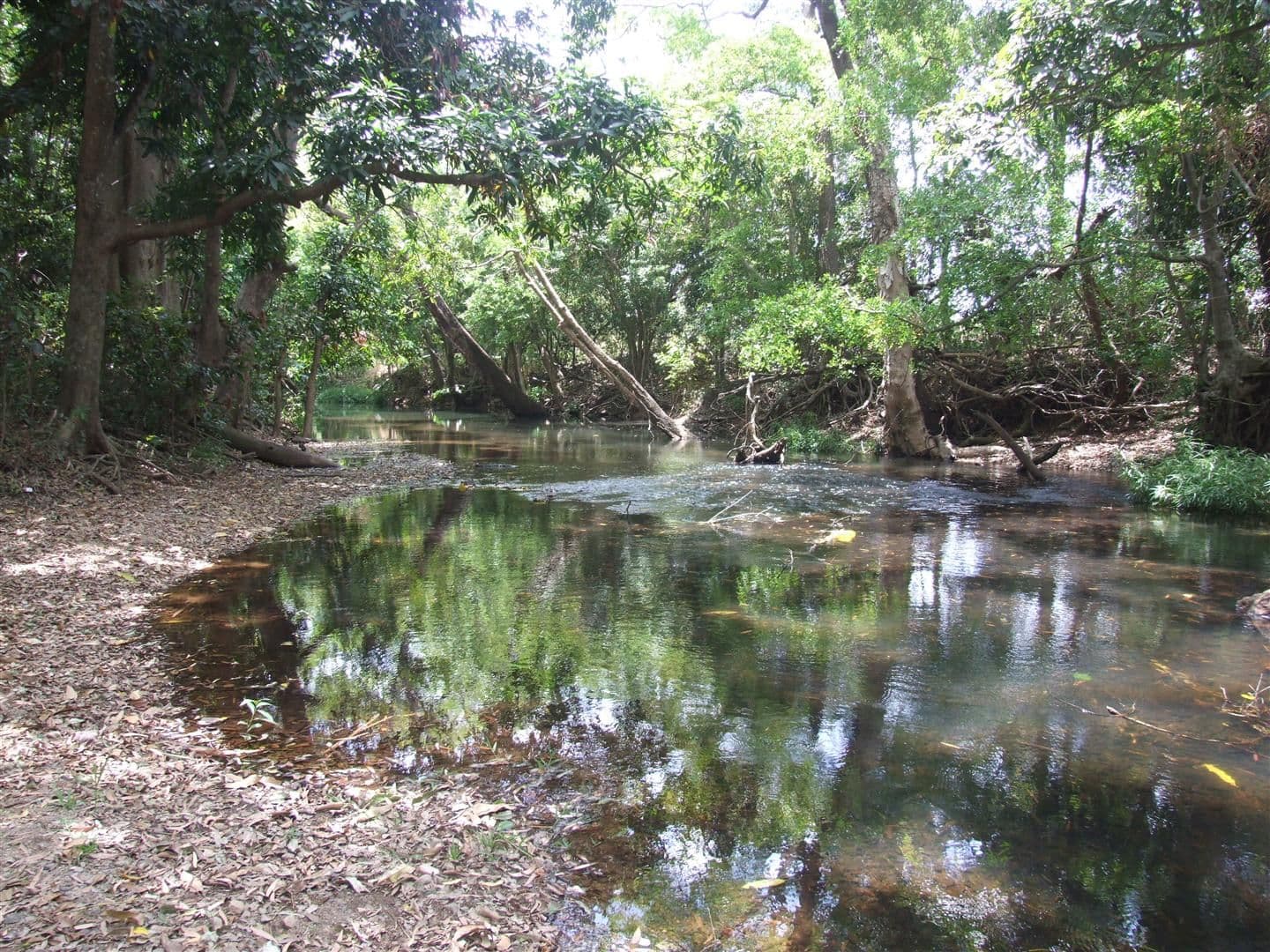 Lot 11 Thorohgood Road, KELSEY CREEK QLD 4800, Kelsey Creek - Image 1