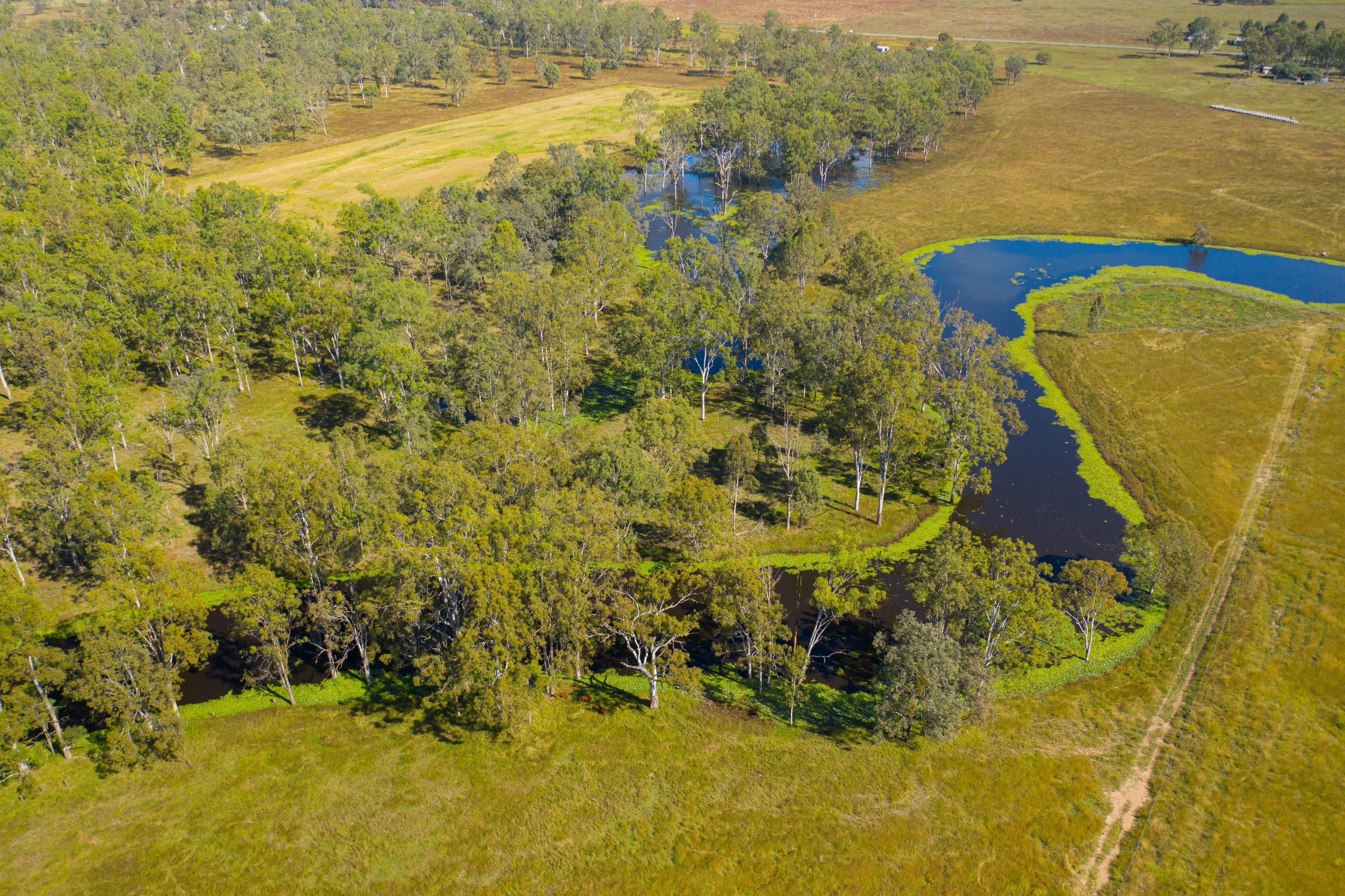 126 Middle Road, Purga QLD 4306, Purga - Image 1