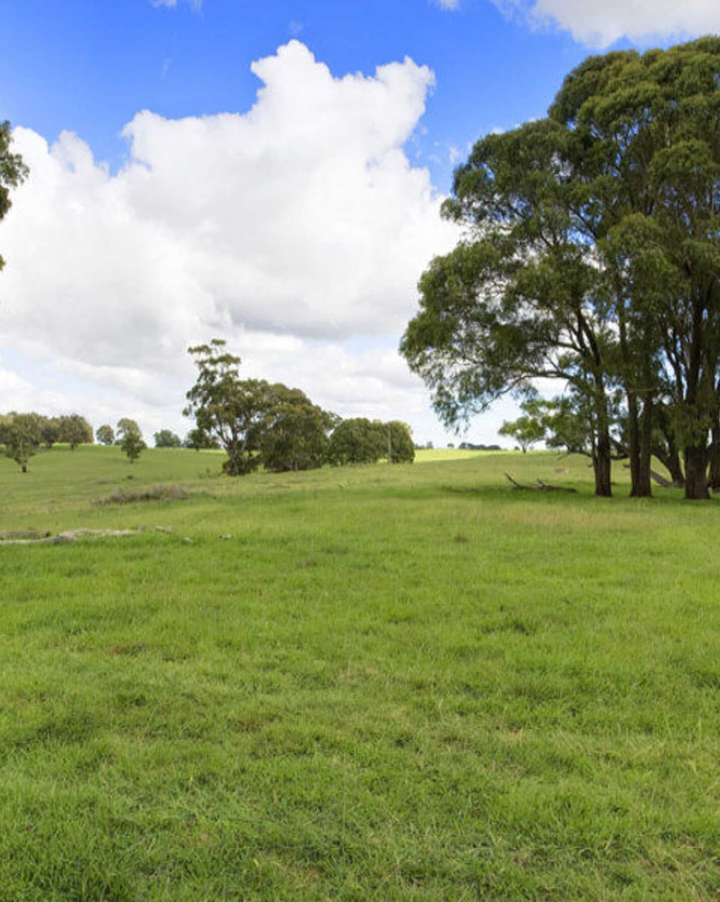Lot 2 Bumballa Road Wingello, Wingello - Image 1