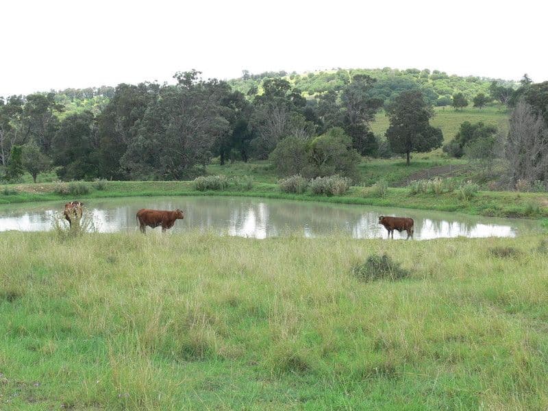 TARAMPA QLD 4311, Tarampa - Image 1