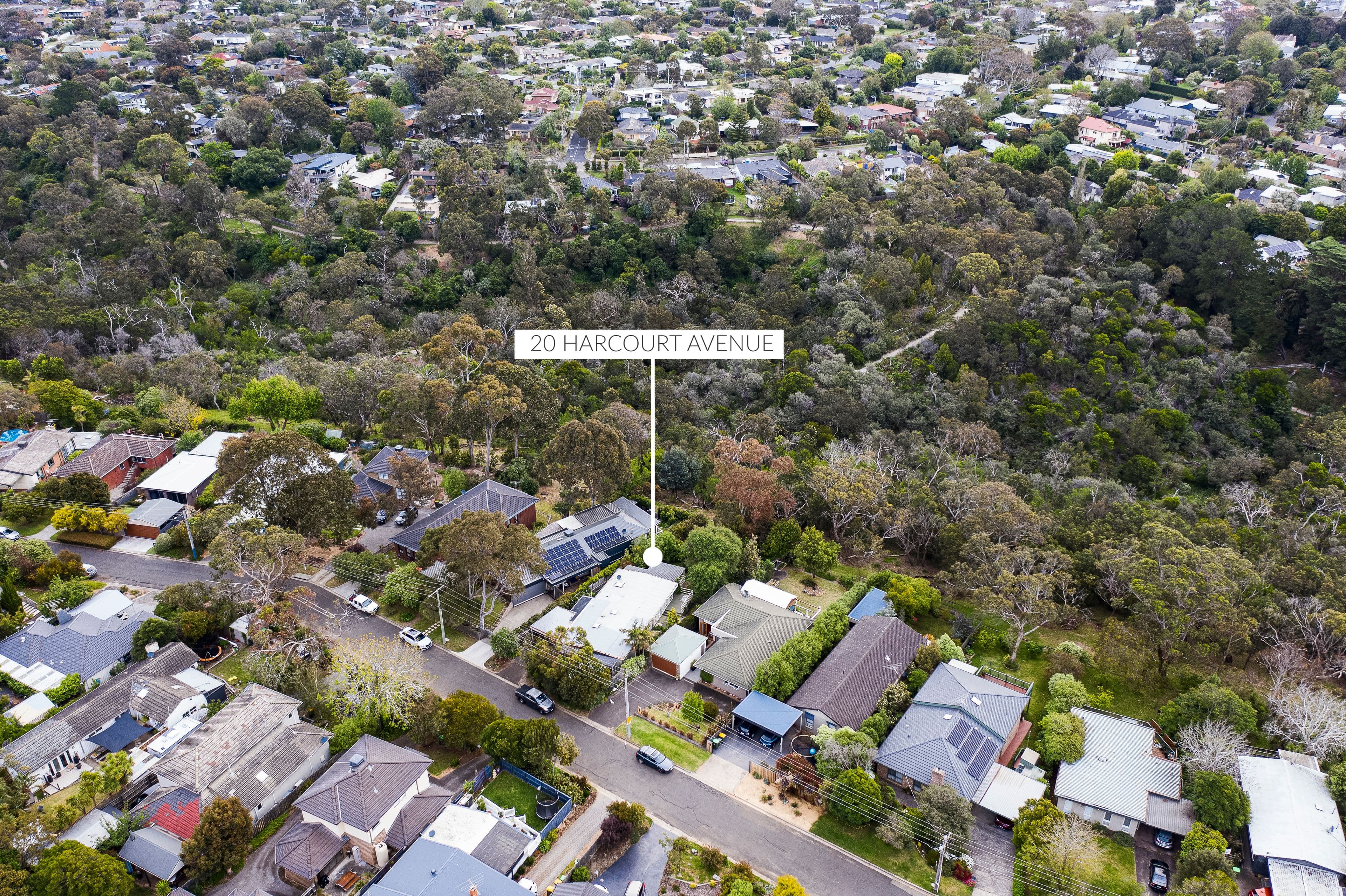 20 Harcourt Avenue, Frankston South VIC 3199, Frankston South - Image 1