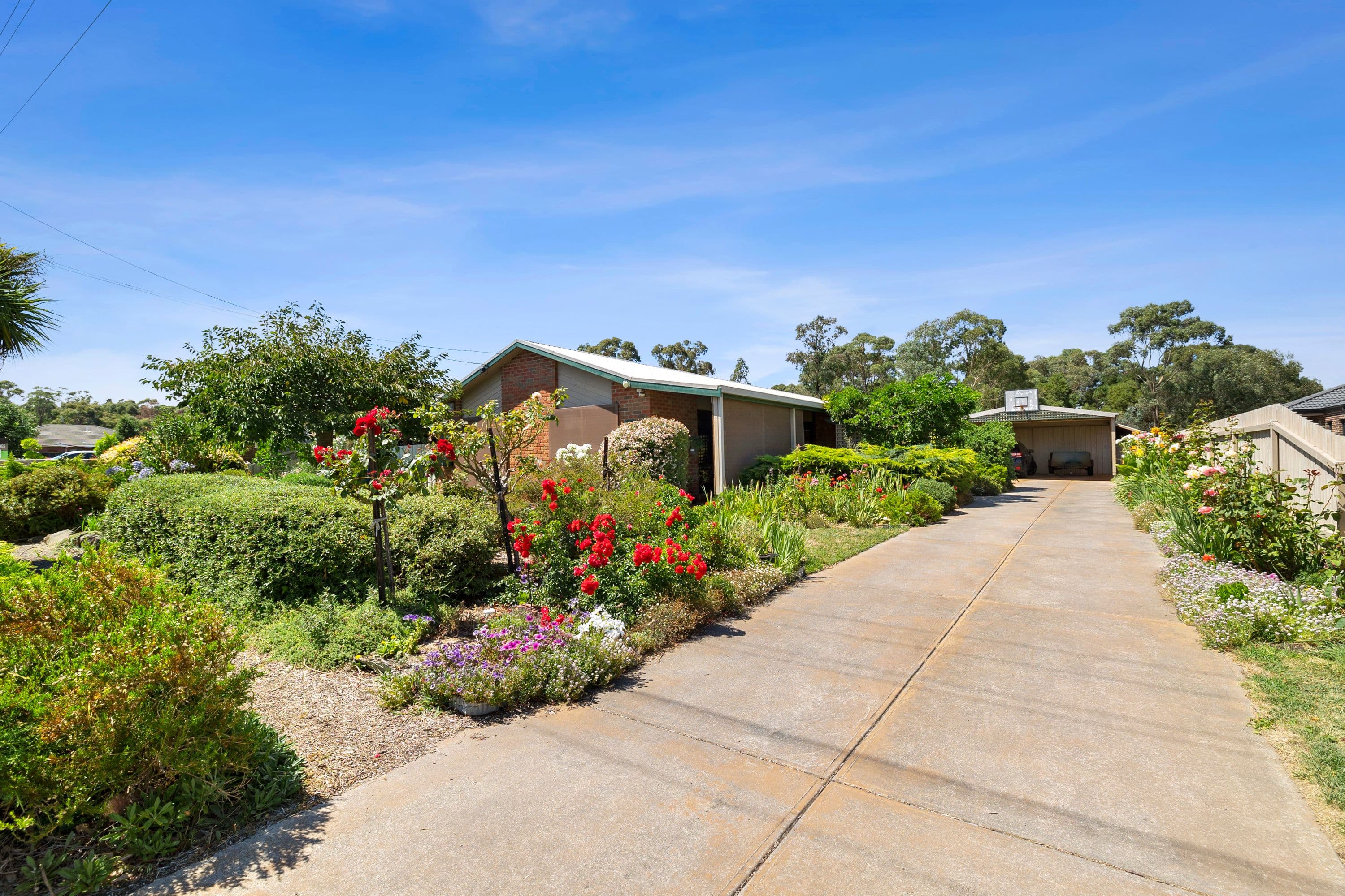 22 Olympic Avenue, Mount Clear VIC 3350, Mount Clear - Image 1