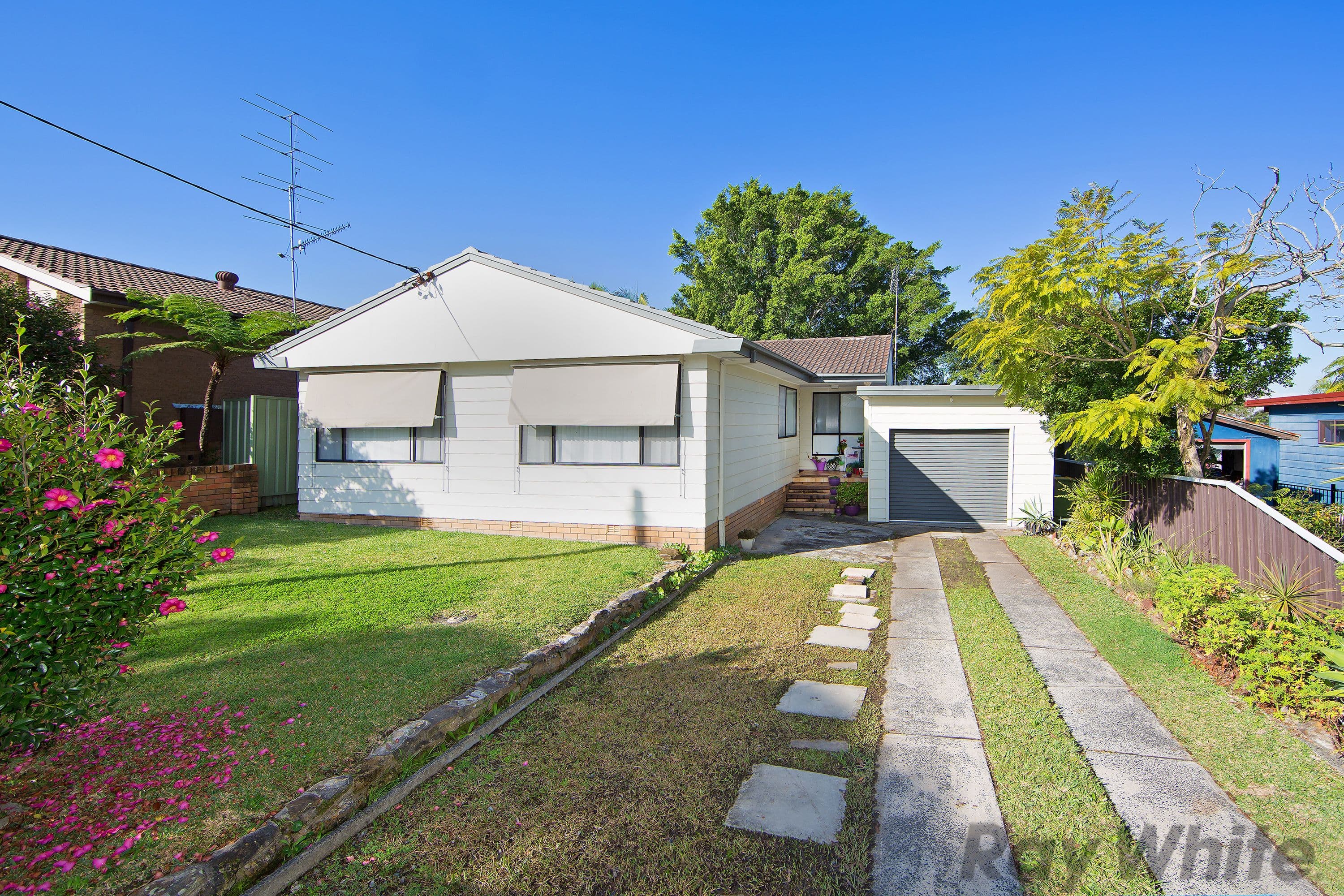 3 Laelana Avenue, Budgewoi - Image 1