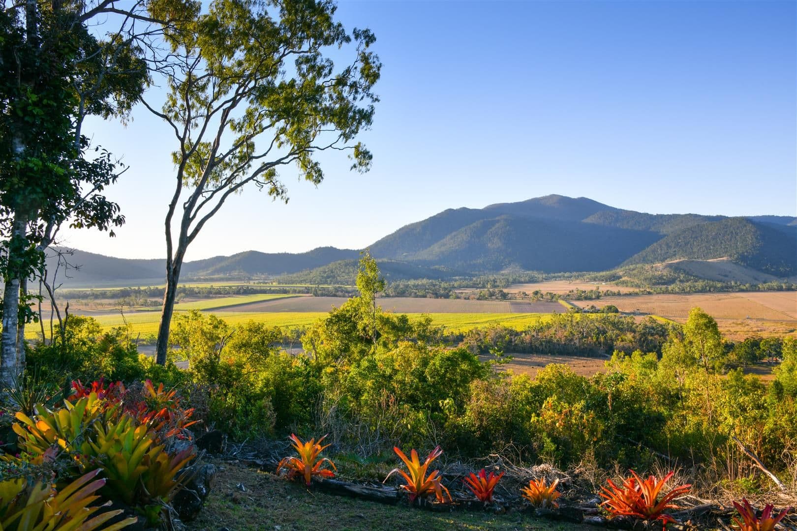 97 Muller Road, Myrtlevale QLD 4800, Myrtlevale - Image 1