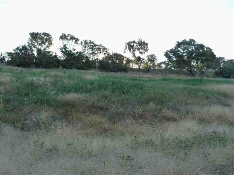 45 Atherton Crescent, TATTON NSW 2650, Tatton - Image 1