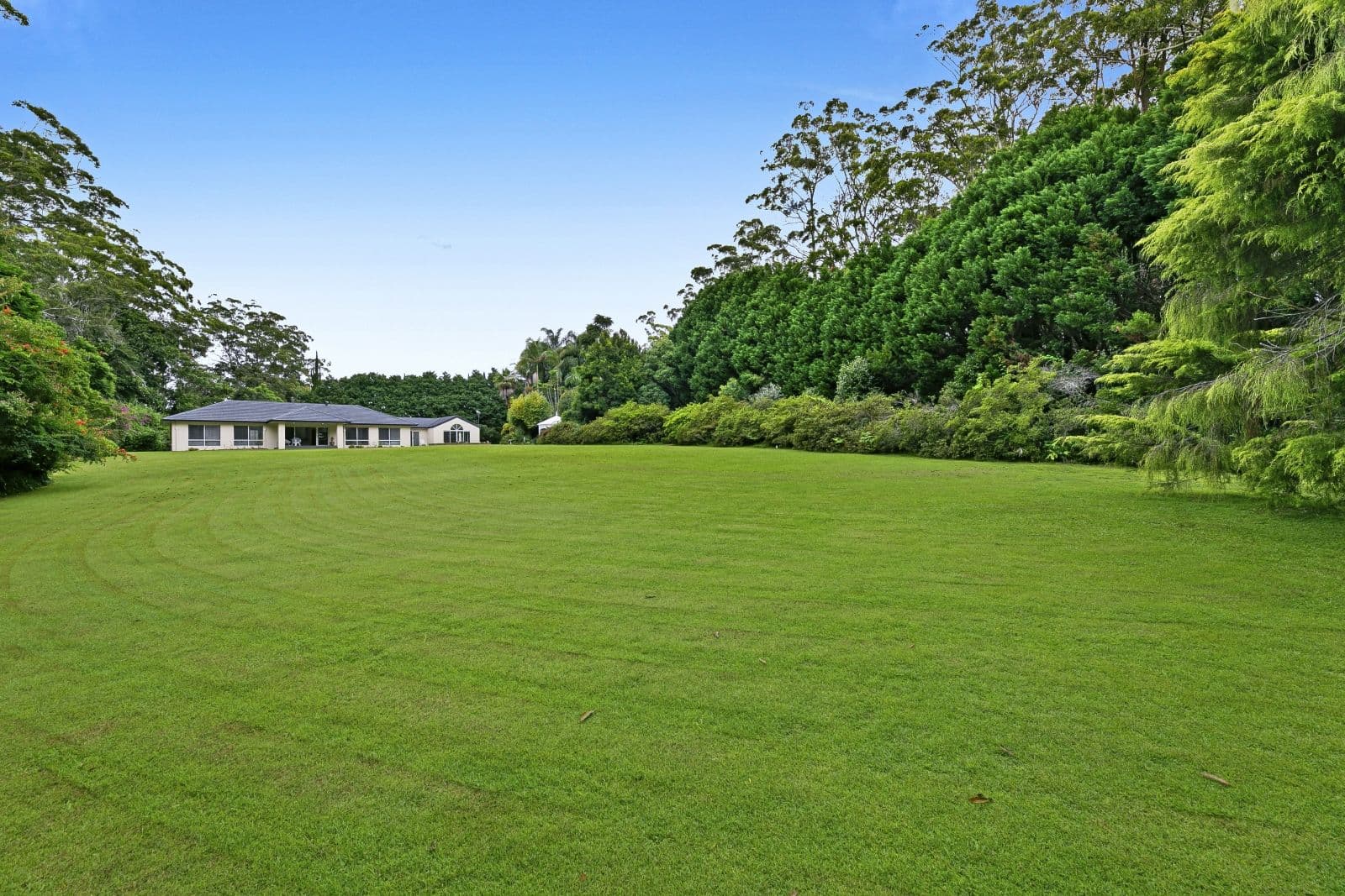 29 Bishopp Court, Tamborine Mountain QLD 4272, Tamborine Mountain - Image 1