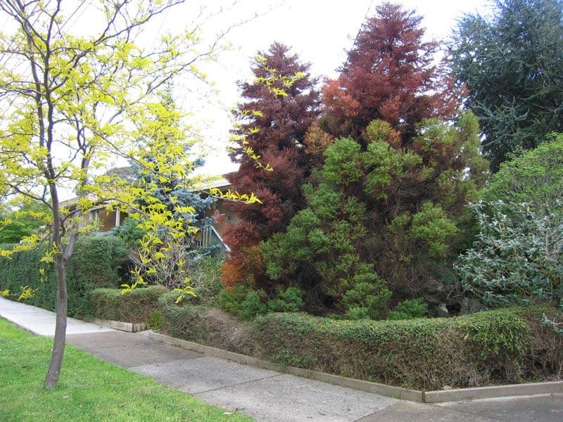 8 Chalmers Grove, UPPER FERNTREE GULLY VIC 3156, Upper Ferntree Gully - Image 1