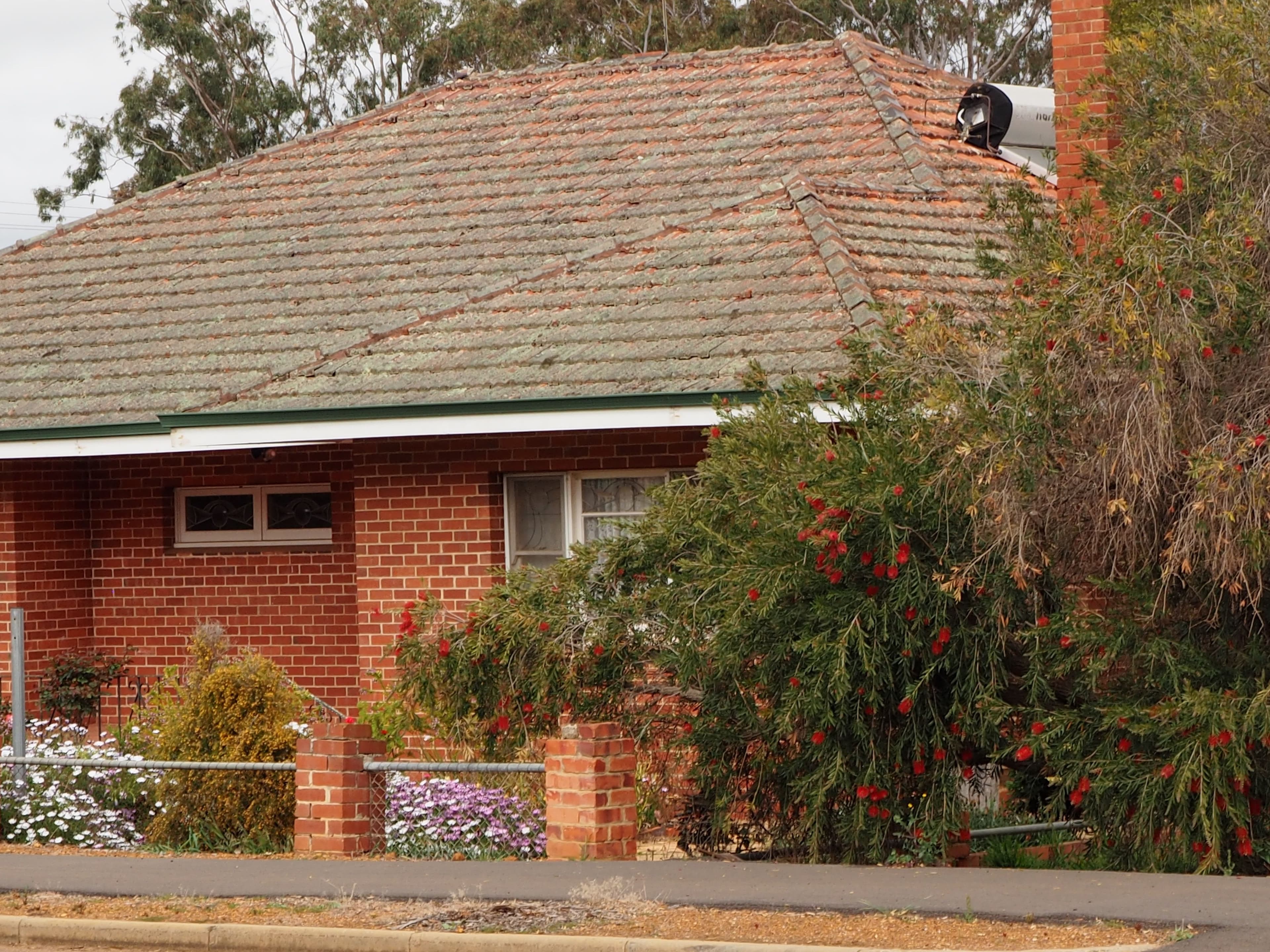 27 Garrity Street, Tambellup WA 6320, Tambellup - Image 1