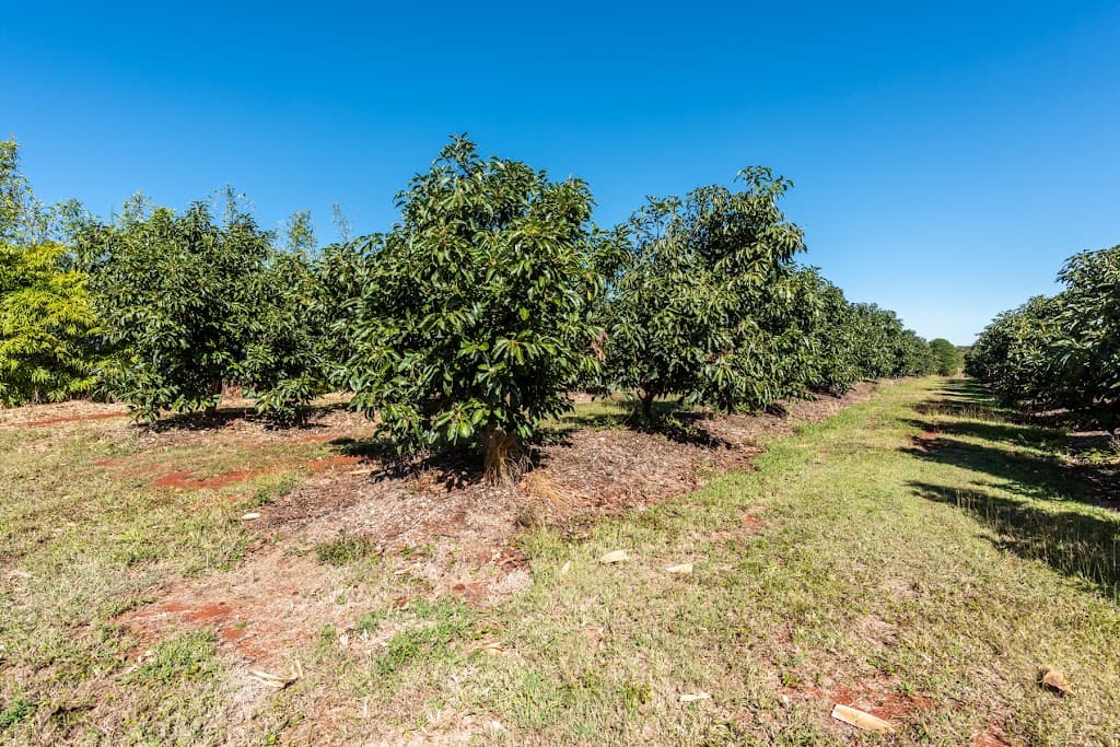 213 ATC Hall Road, North Isis, QLD, 4660, North Isis - Image 1