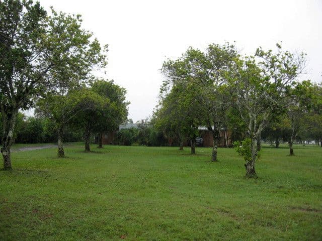 TINANA QLD 4650, Tinana - Image 1