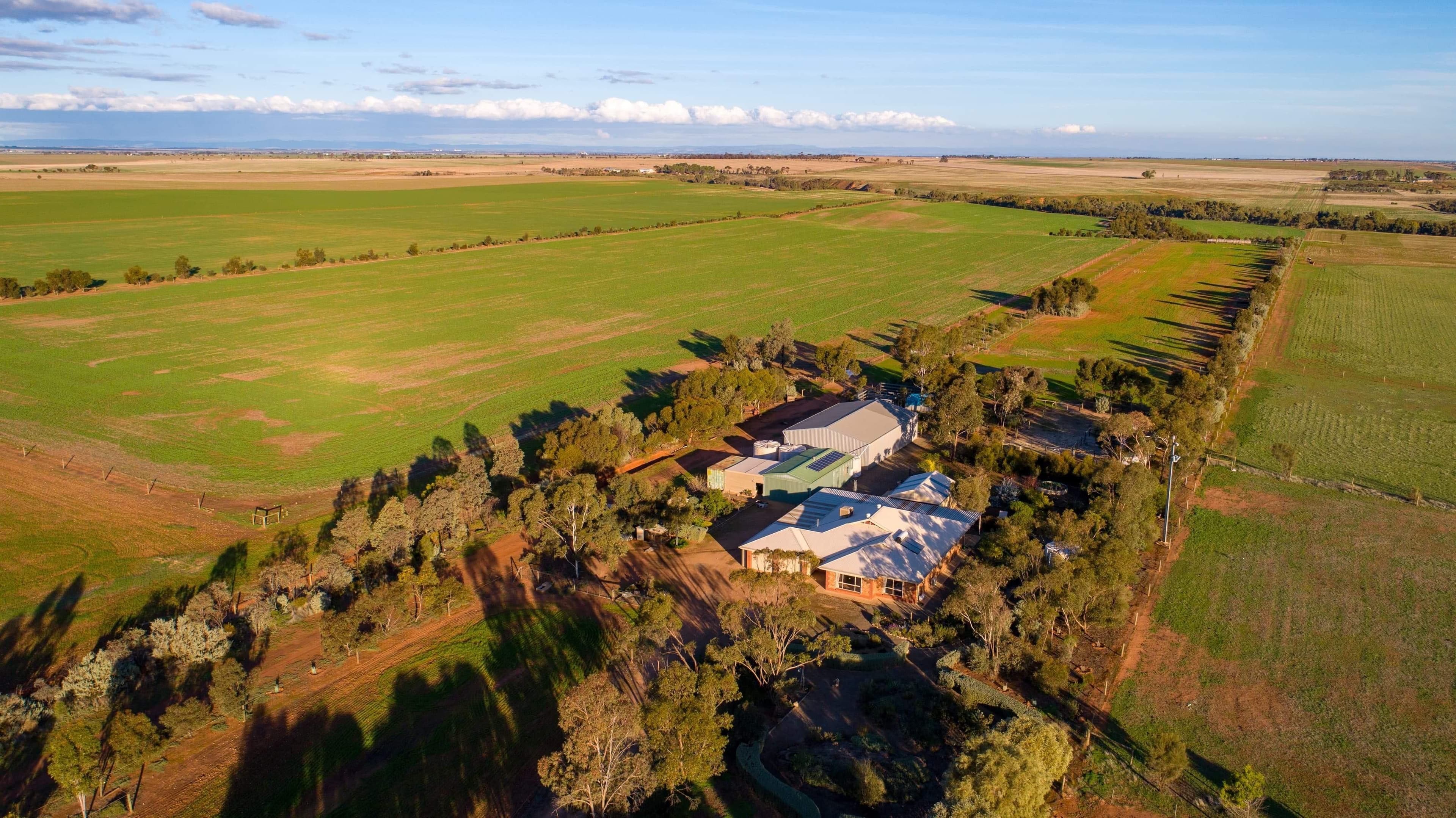 20 Hamley Bridge Road, Mallala SA 5502, Mallala - Image 1