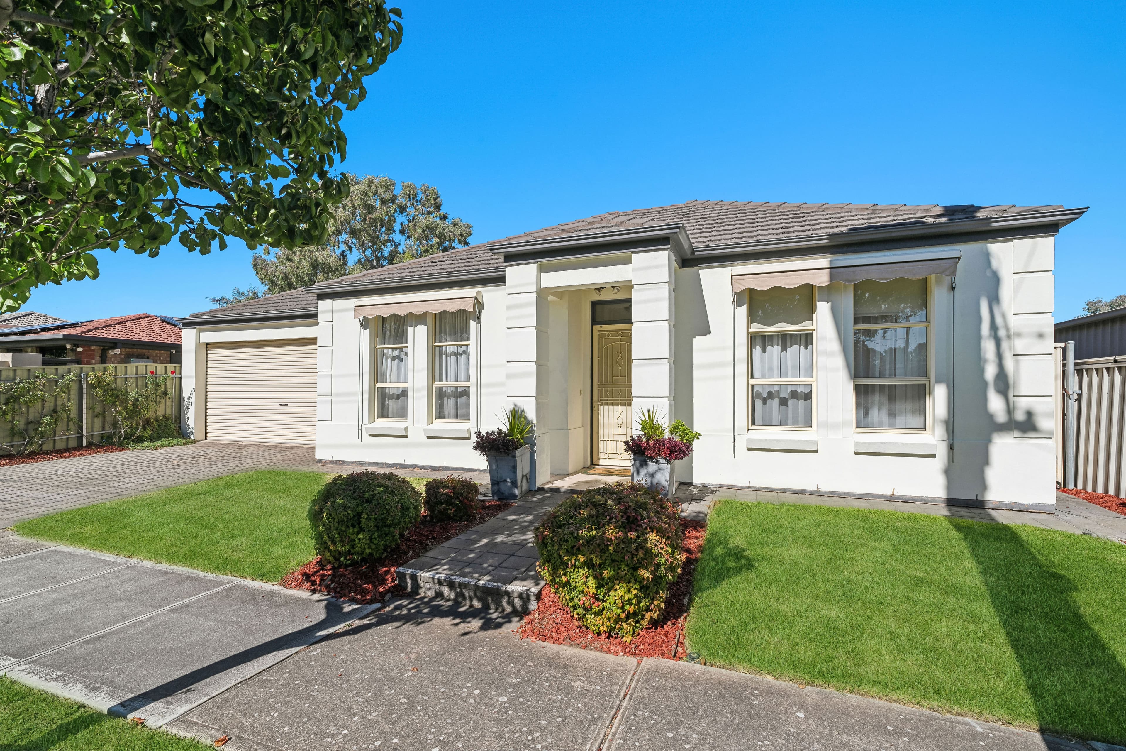 20 Albert Avenue, Camden Park SA 5038, Camden Park - Image 1