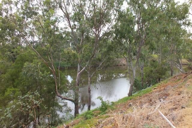 21 Raymond, Goondiwindi QLD 4390, Goondiwindi - Image 1