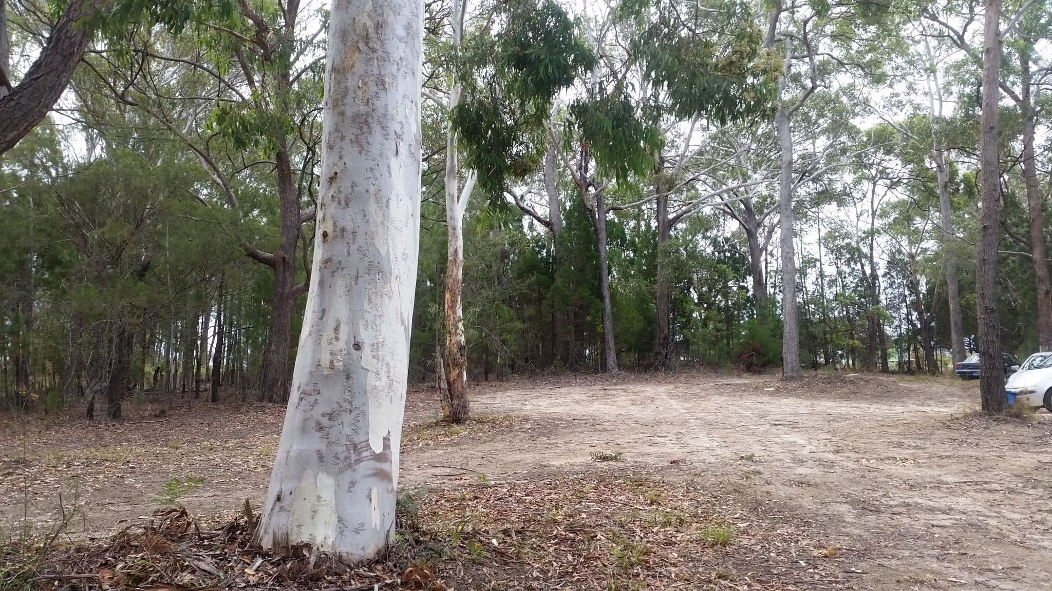 33 Bernborough Street, Russell Island QLD 4184, Russell Island - Image 1