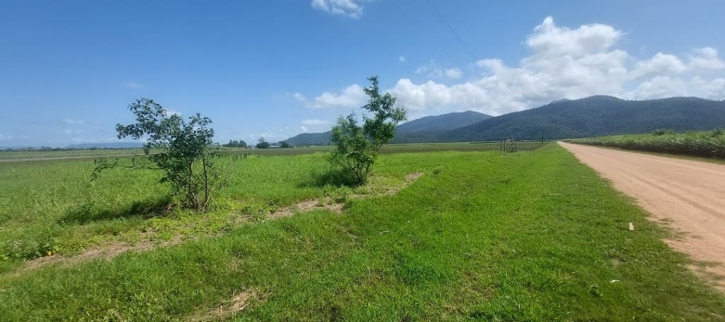 856 Hawkins Creek Road, Hawkins Creek, QLD, 4850, Hawkins Creek - Image 1
