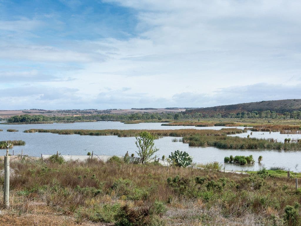 41 Graziano Road, Mannum SA 5238, Mannum - Image 1