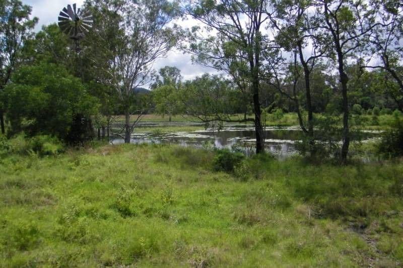 14 Spanns Road, MOUNT LARCOM QLD 4695, Mount Larcom - Image 1