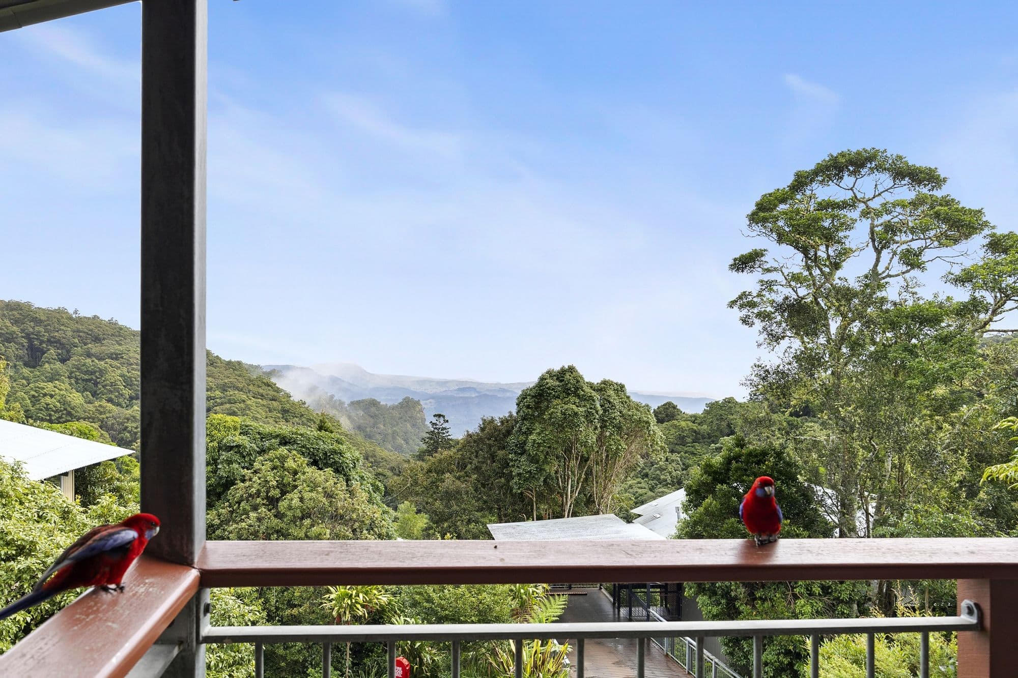 3544 Lamington National Park Road, O'REILLYS QLD 4275, O'Reilly - Image 1