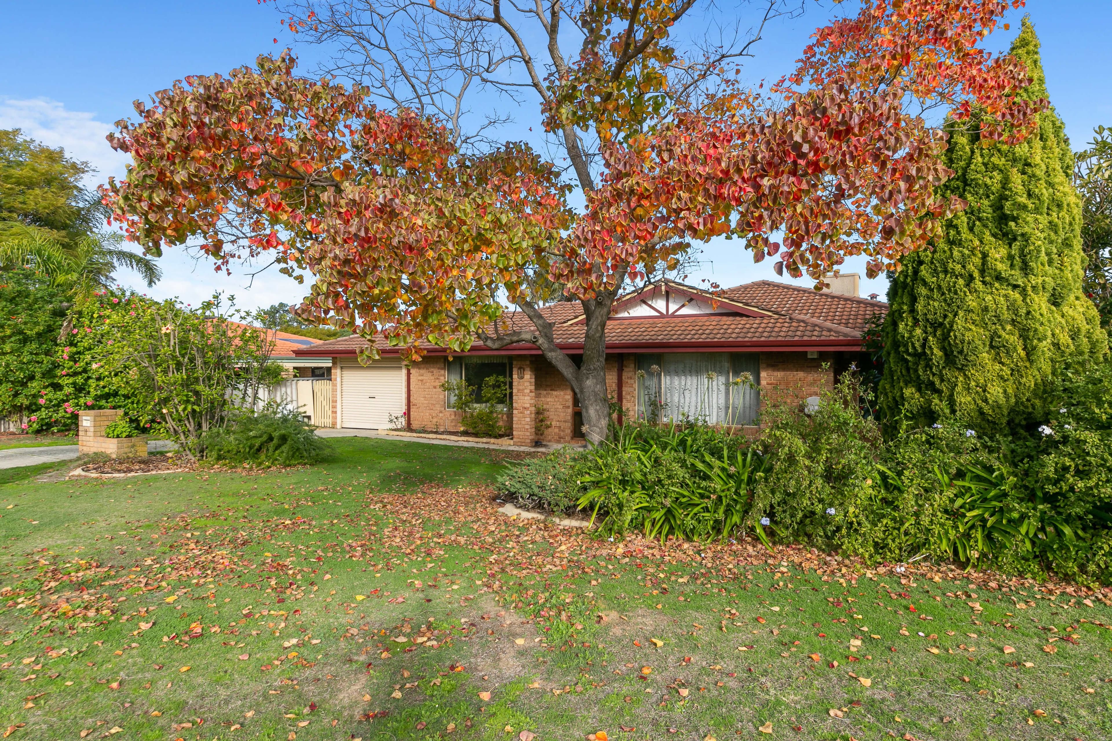 11 Underwood Grove, Kardinya WA 6163, Kardinya - Image 1