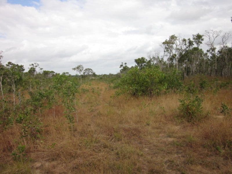Lot 1 Jochheim Road, BOWEN QLD 4805, Bowen - Image 1