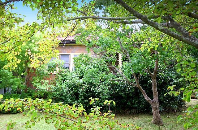7 Bowden Boulevarde, YAGOONA NSW 2199, Yagoona - Image 1