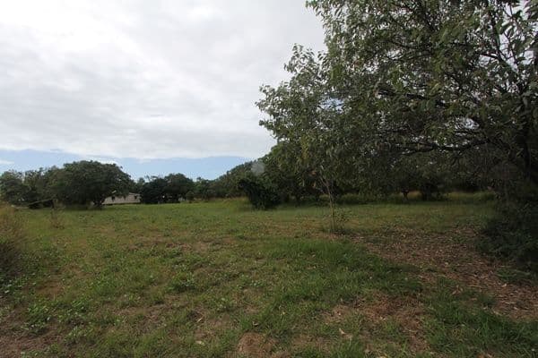 16 Lound Road, MUTARNEE QLD 4816, Mutarnee - Image 1