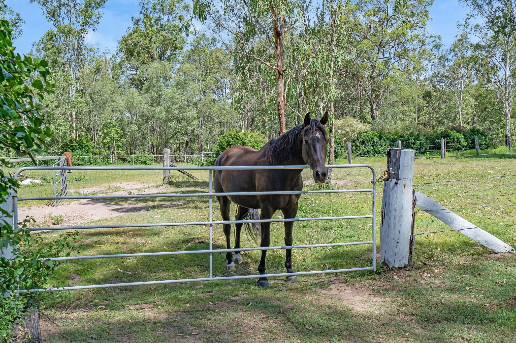 188-198 Greensward Road, Tamborine QLD 4270, Tamborine - Image 1