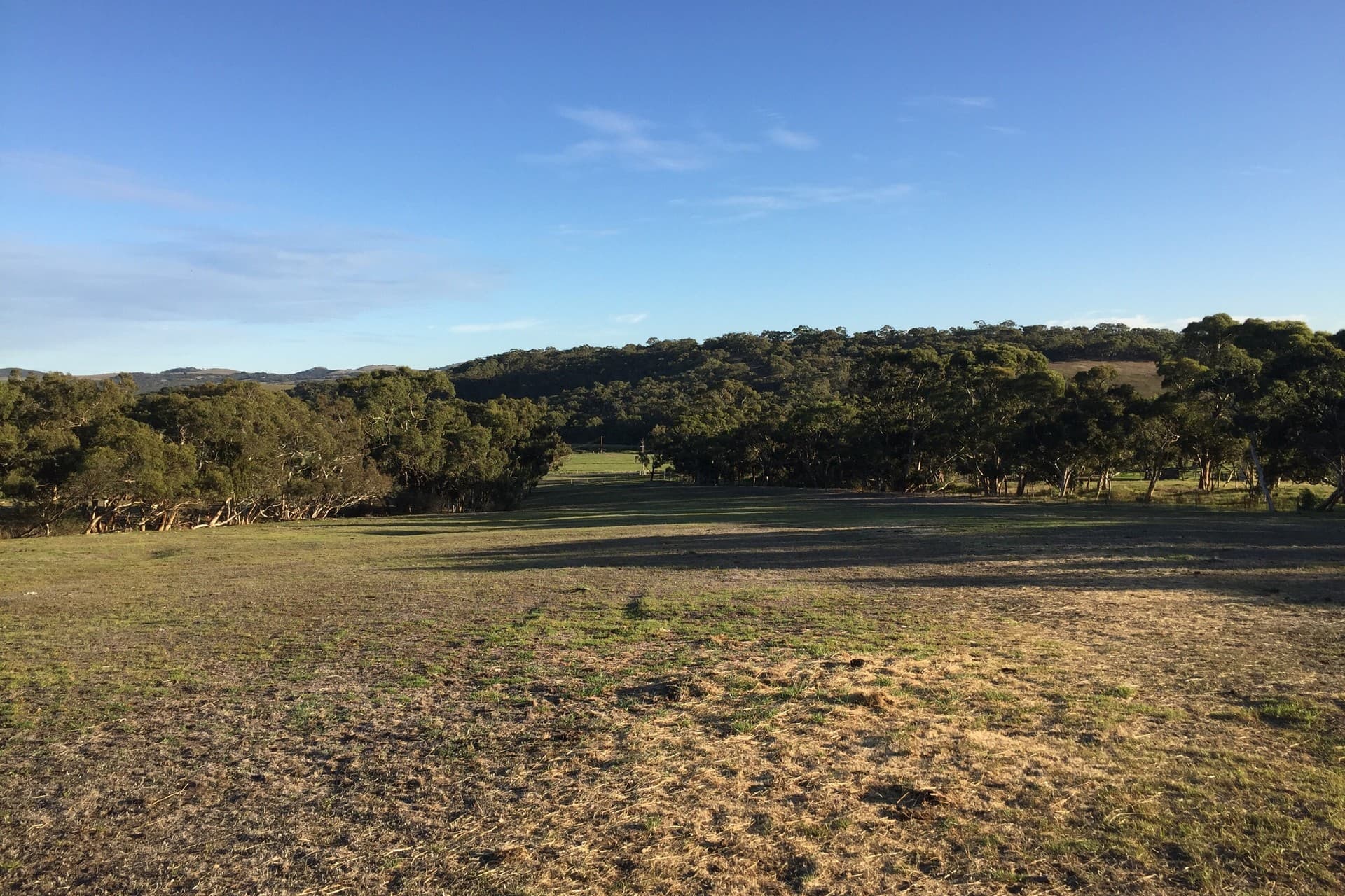 Lot 14 Cleland Gully Road, Tooperang - Image 1