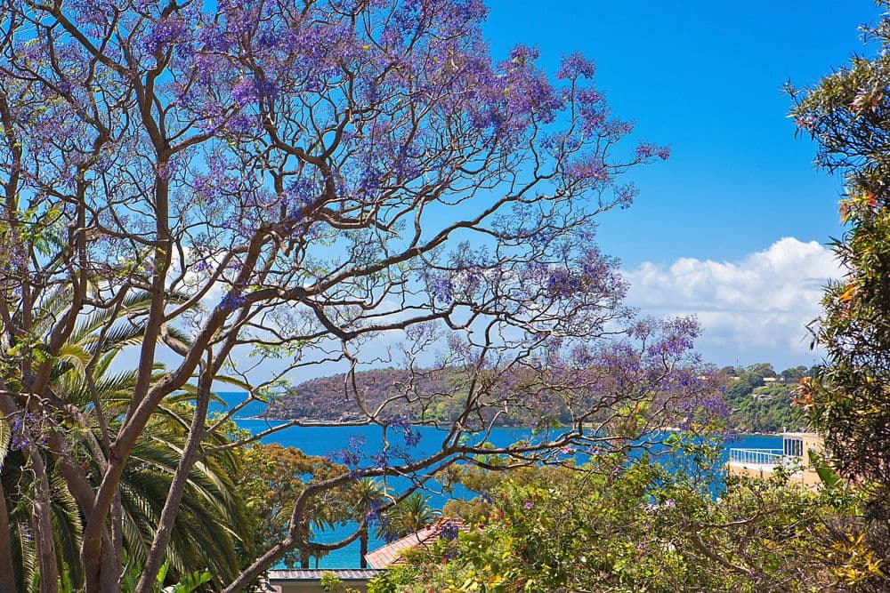 17 Awaba Street, Mosman - Image 1