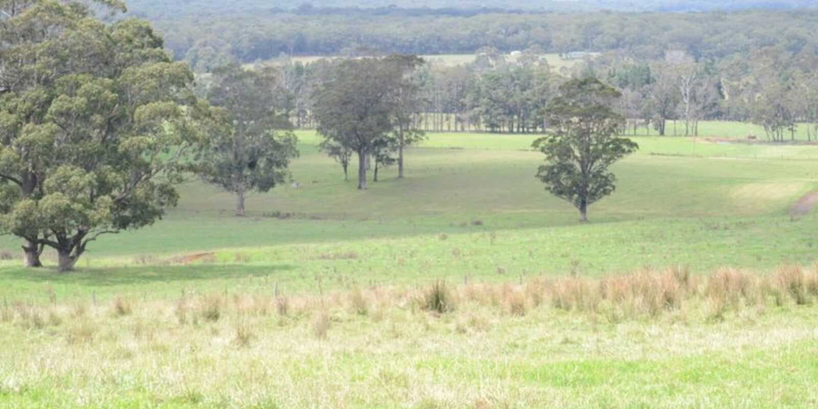 133 Orfords Lane East Kangaloon, Kangaloon - Image 1