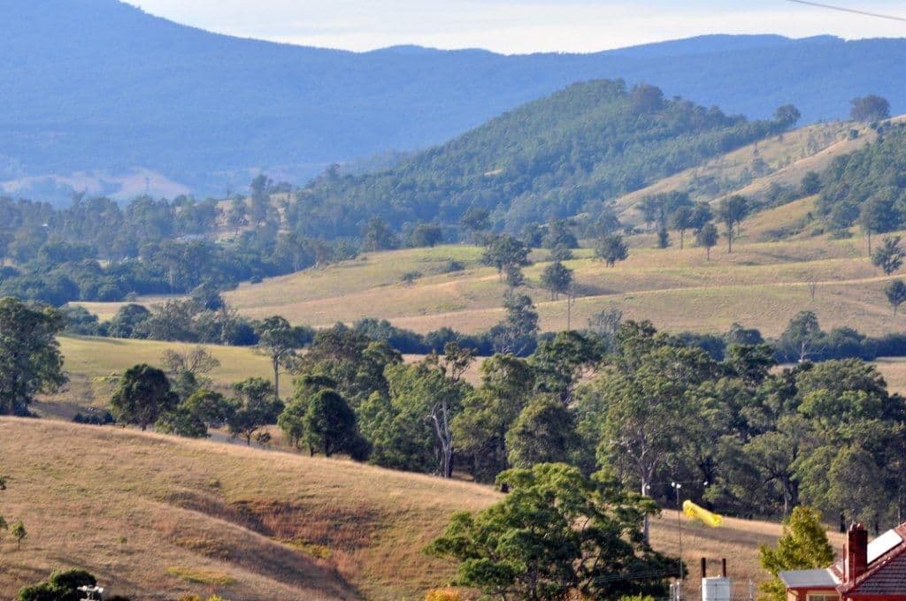 19 Hospital Road, DUNGOG NSW 2420, Dungog - Image 1