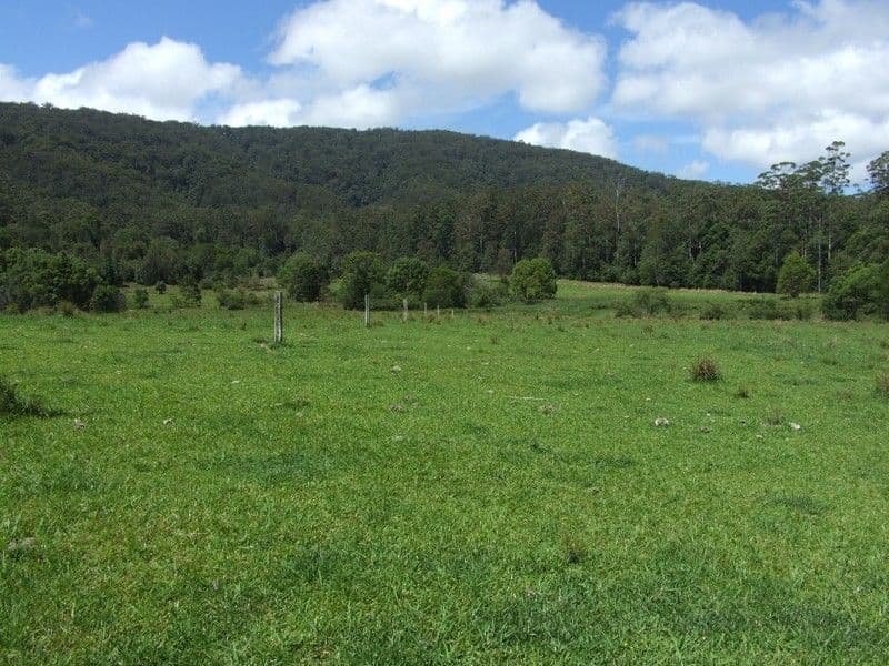 215 Randalls Road, Lower Bucca NSW 2450, Bucca - Image 1