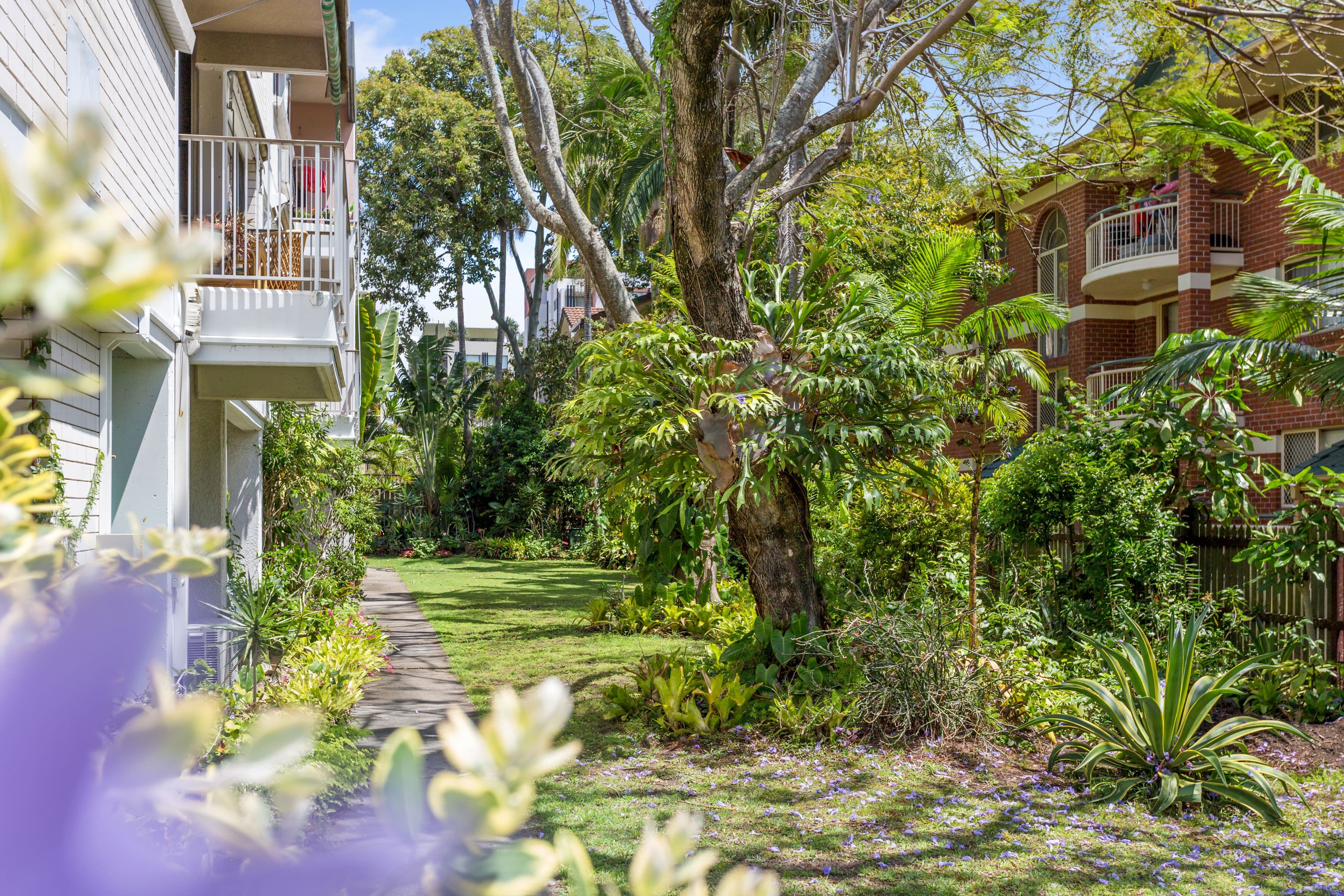 64 Bauer Street, Southport QLD 4215, Southport - Image 1