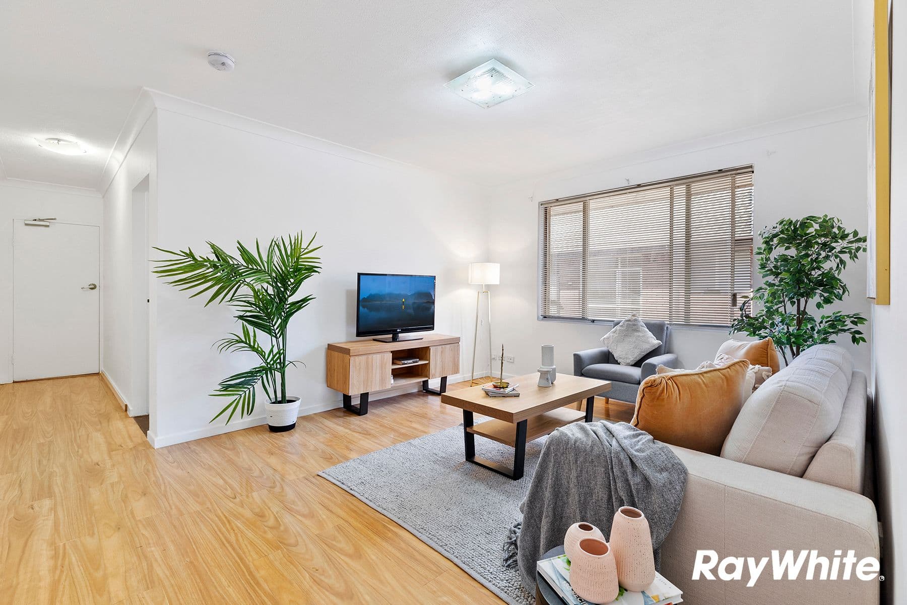 31 McCourt Street, Wiley Park NSW 2195, Wiley Park - Image 1