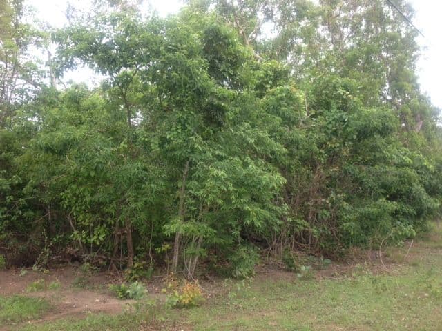 Lot 3125 82 Zuleika Road, Dundee Beach NT 0840, Dundee Beach - Image 1