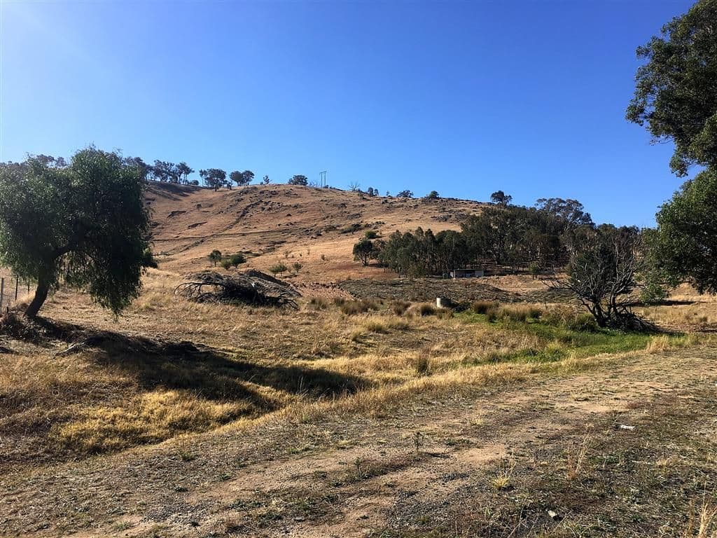 100 Snowy Mountains Highway, Adelong NSW 2729, Adelong - Image 1