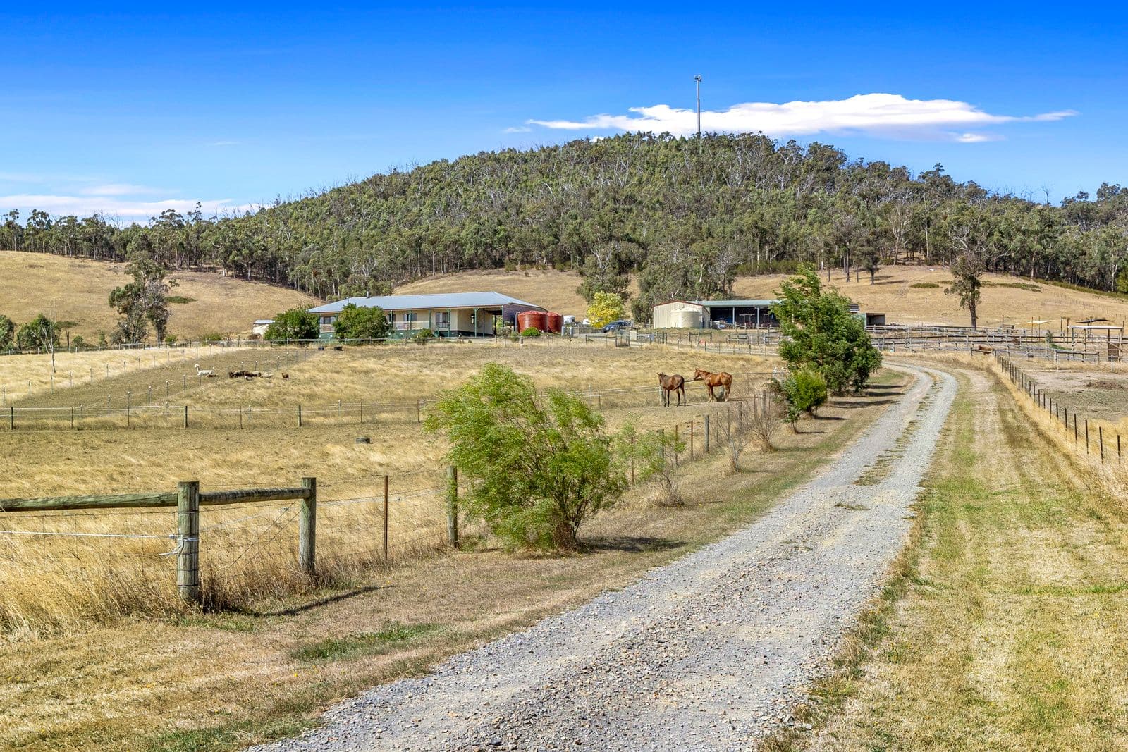 3684 Melba Highway, Glenburn VIC 3717, Glenburn - Image 1