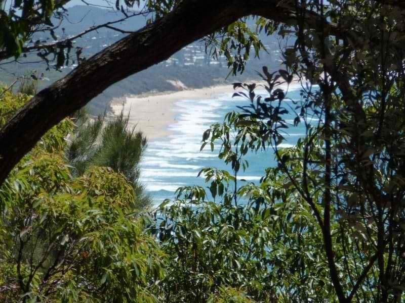33 Fauna Terrace, COOLUM BEACH QLD 4573, Coolum Beach - Image 1