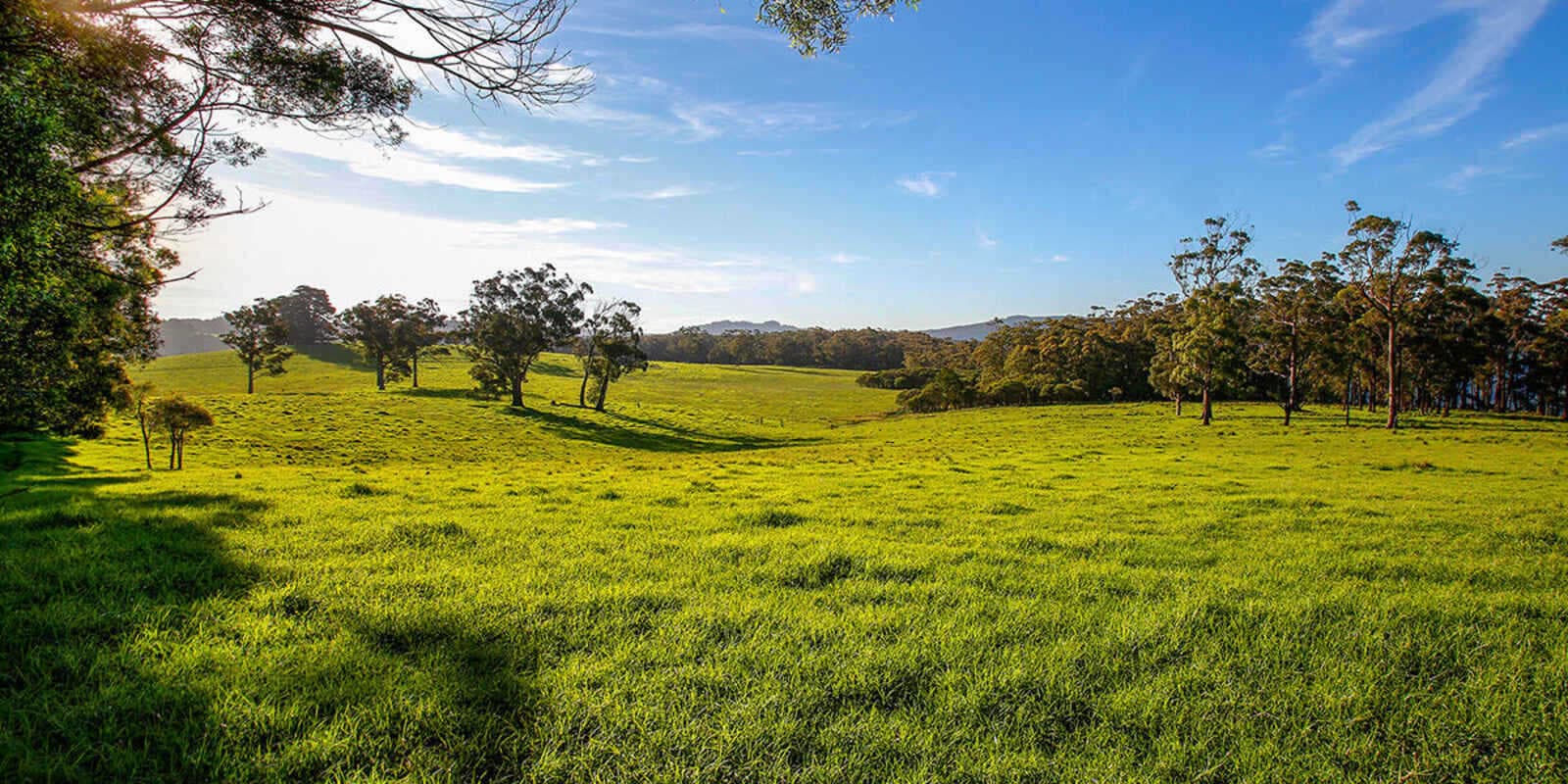 5 Lees Road Robertson, Robertson - Image 1