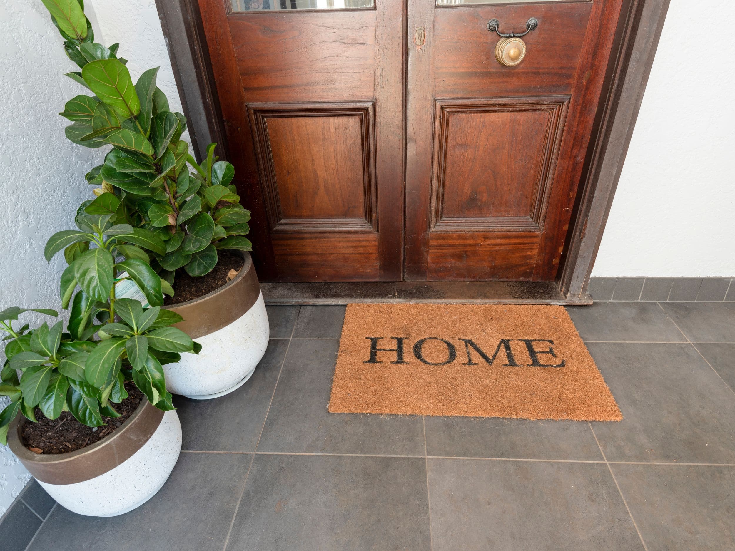 79 Beardow Street, Lismore Heights NSW 2480, Lismore Heights - Image 1