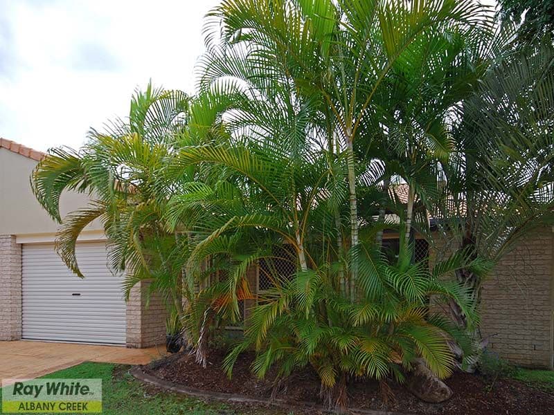 38 Kesteven Street, ALBANY CREEK QLD 4035, Albany Creek - Image 1