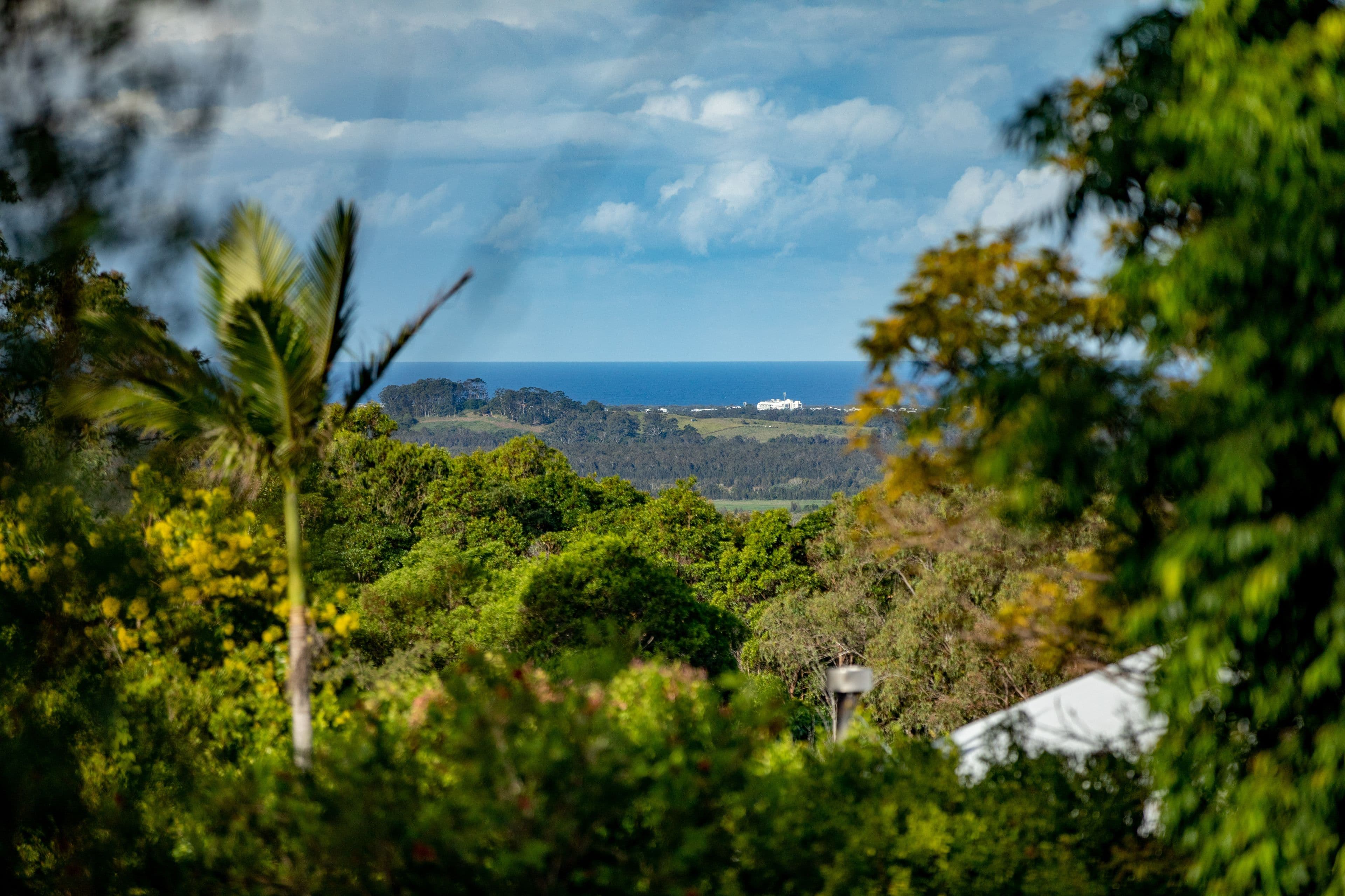 25 Caree Court, Maroochy River QLD 4561, Maroochy River - Image 1