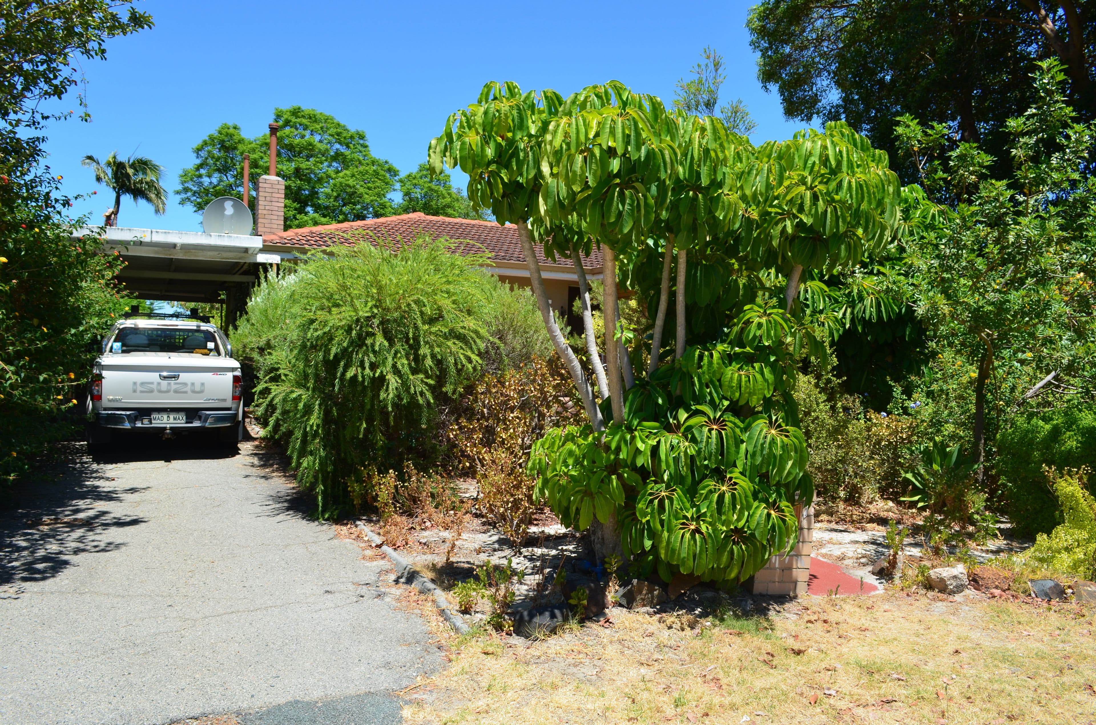 7 Eudoria Street, Gosnells WA 6110, Gosnells - Image 1
