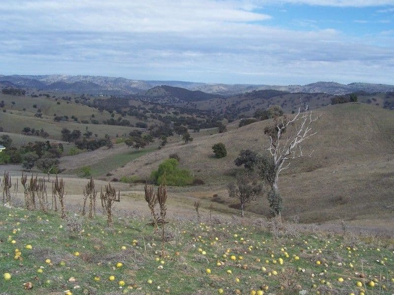 27 Estuary View, Inverloch VIC 3996, Inverloch - Image 1