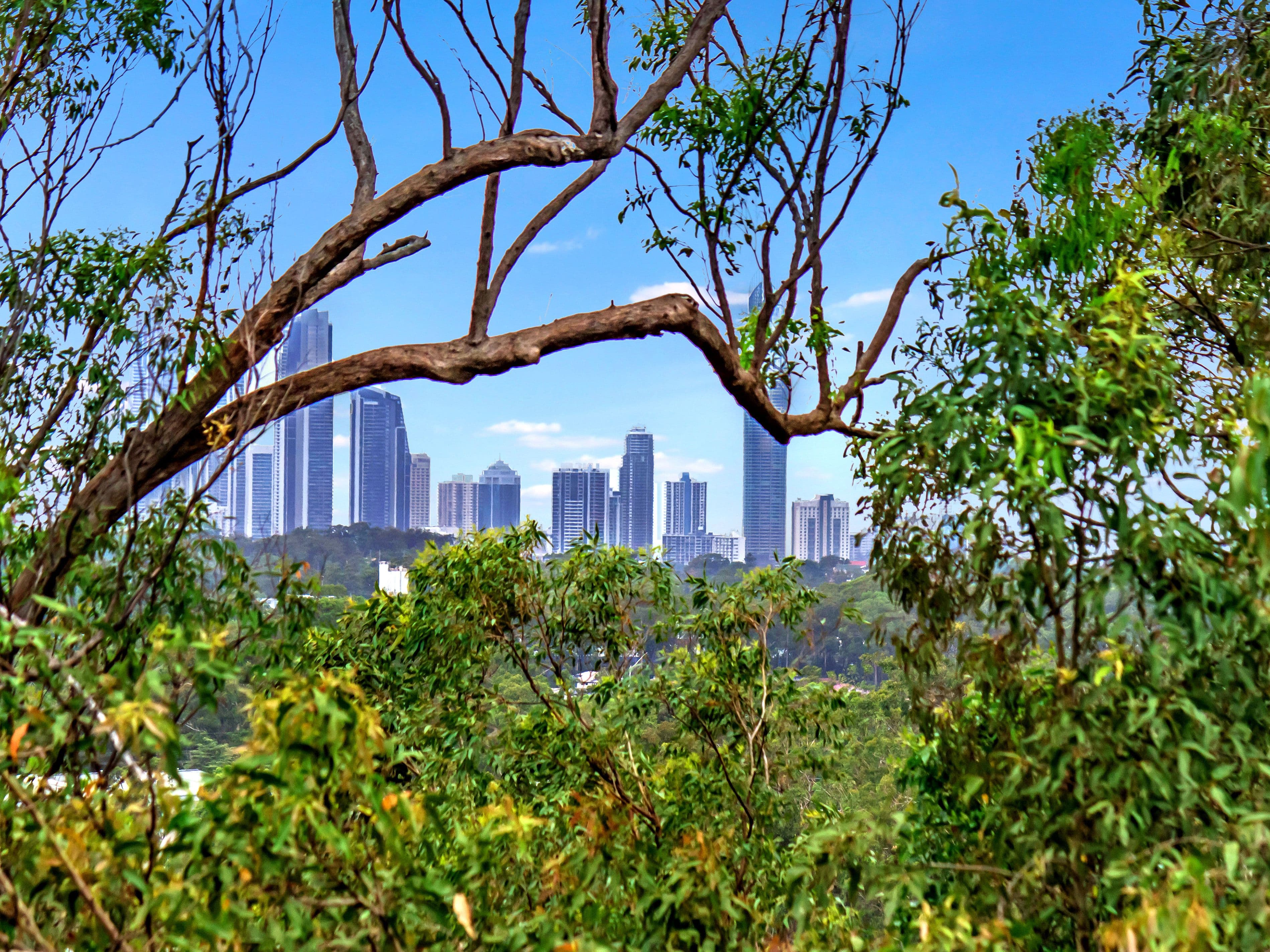 21 Zane Street, Molendinar QLD 4214, Molendinar - Image 1