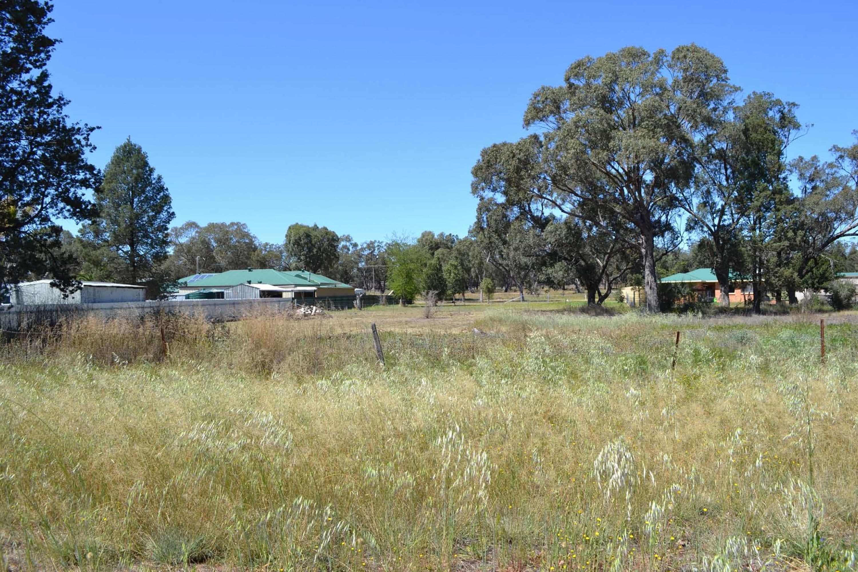 13 Nardoo Street, Ballimore NSW 2830, Ballimore - Image 1