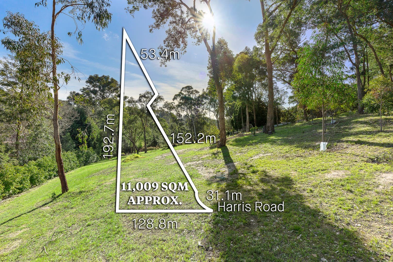 29-31 Harris Road, Donvale, VIC 3111, Donvale - Image 1