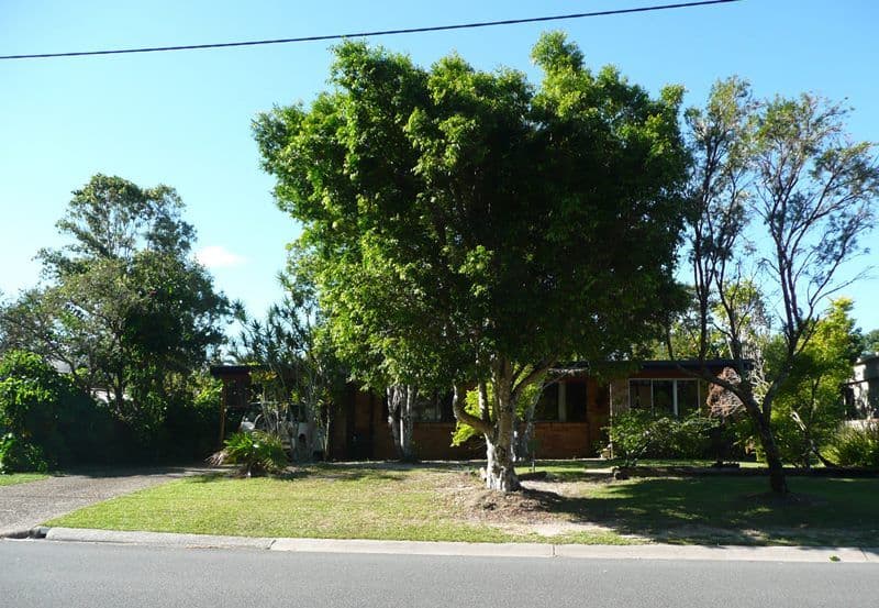 45 Kurrajong Avenue, Cabarita Beach NSW 2488, Cabarita Beach - Image 1