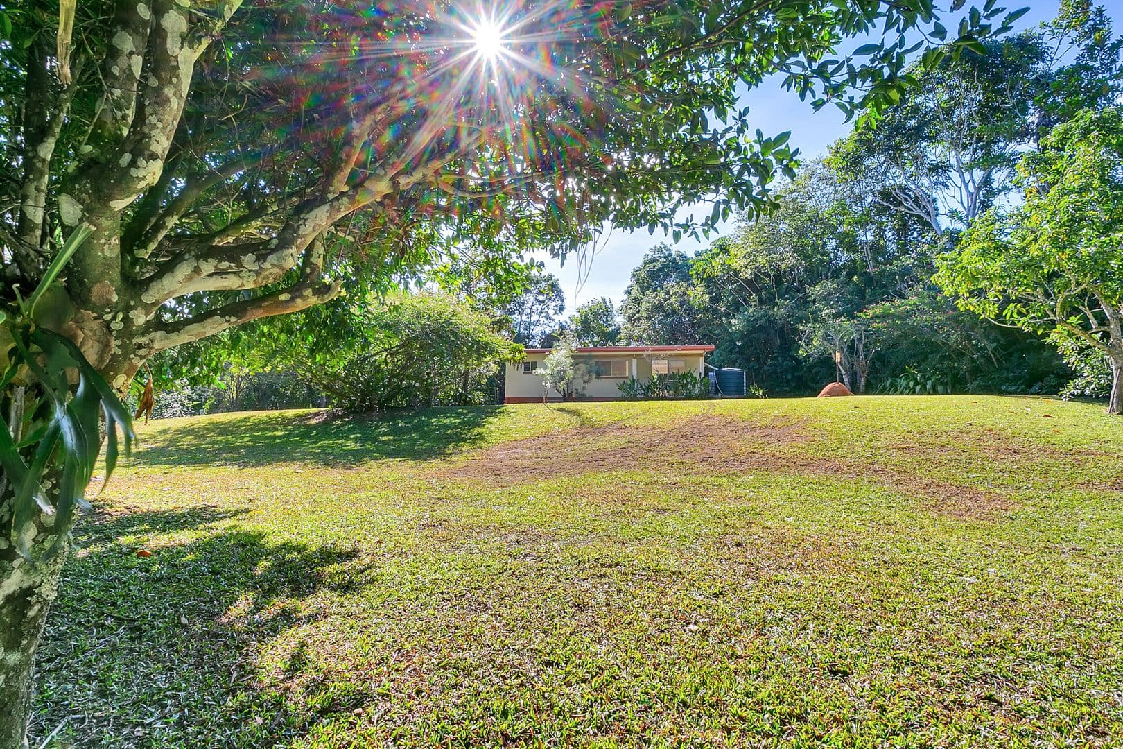 242 Ganyan Drive, Speewah QLD 4881, Speewah - Image 1