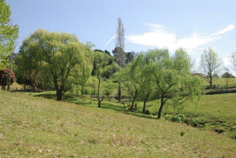1350 Bells Line Of Road, KURRAJONG HEIGHTS NSW 2758, Kurrajong Heights - Image 1